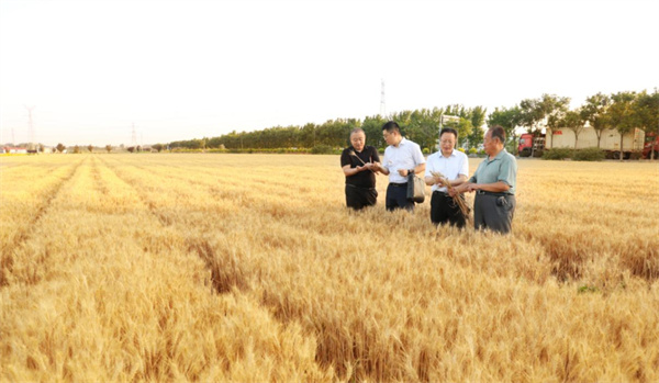 審計人員現場查看審計項目整改情況